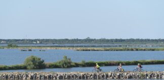 In bici tra Valli e Delizie