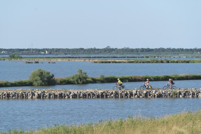 A7M6335 In bici tra Valli e Delizie