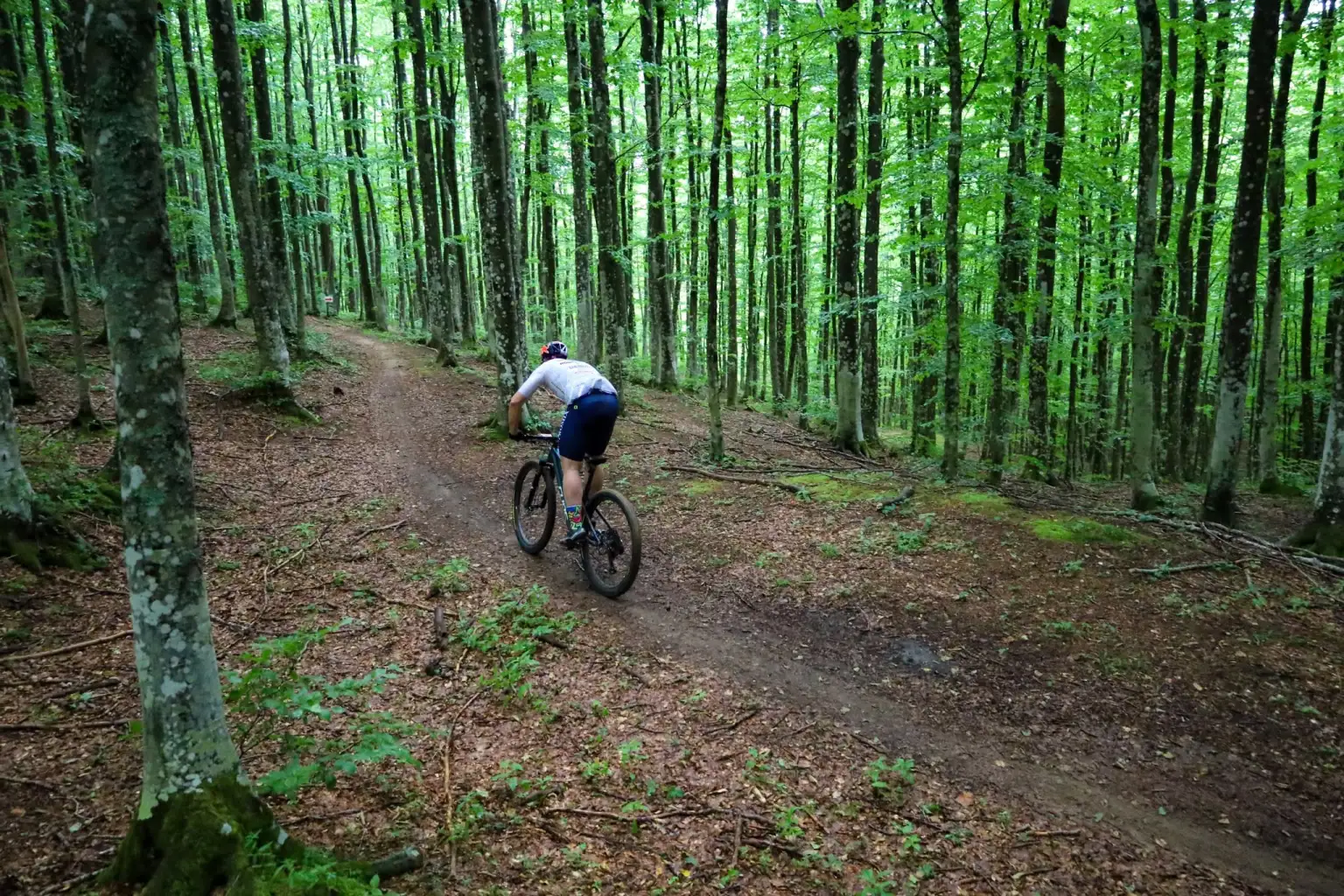 Granfondo del Fumaiolo