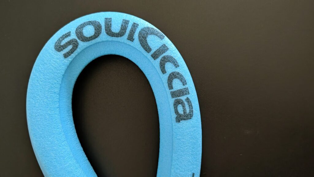 SoulCiccia