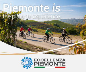 Banner Visit Piemonte