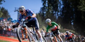 Van der Poel