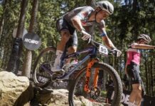 van der Poel