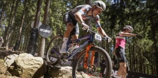 van der Poel
