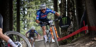 van der Poel