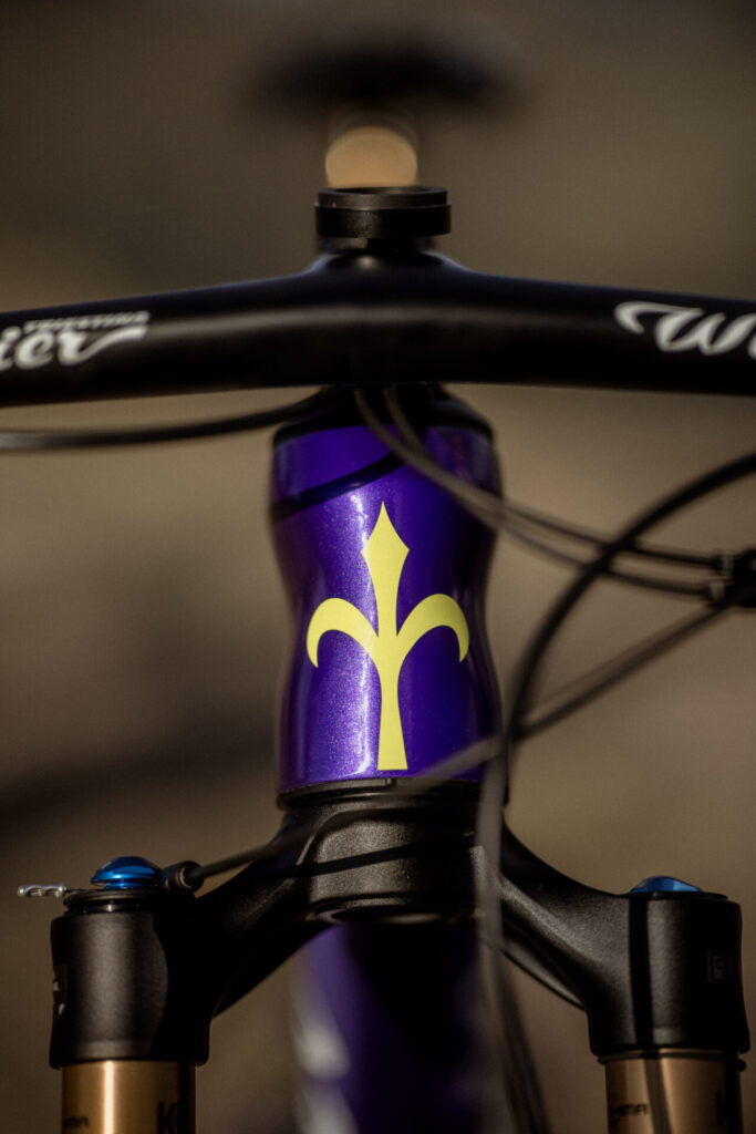 Wilier Triestina