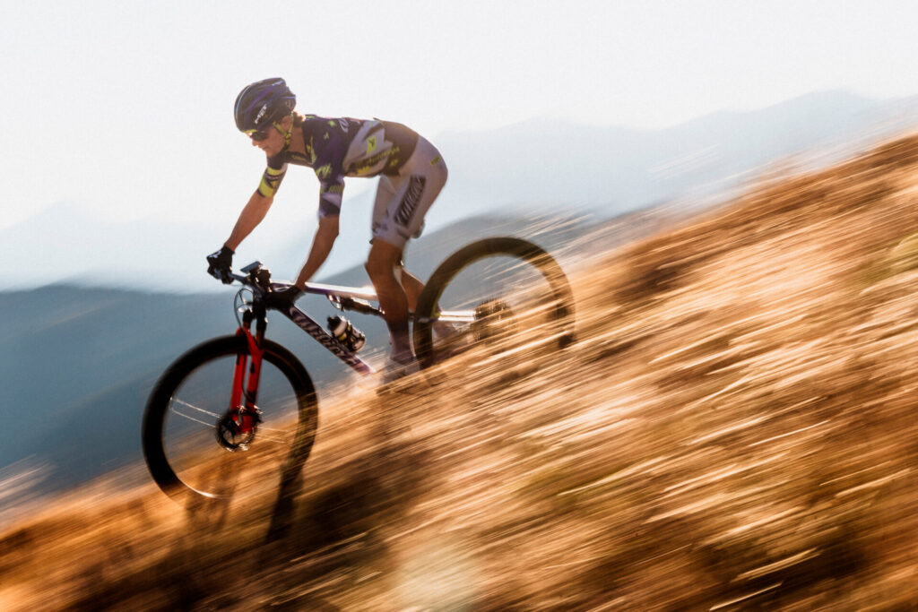 Wilier Triestina