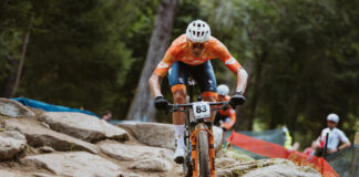 Van der Poel
