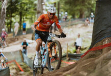 van der Poel