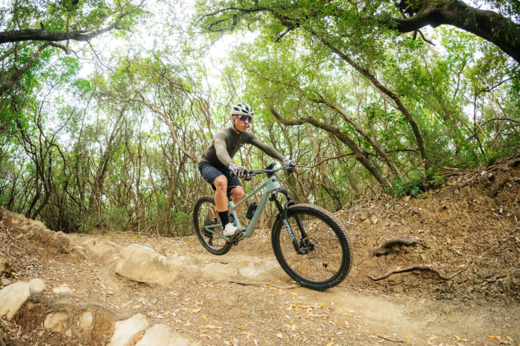 Scott Spark DC