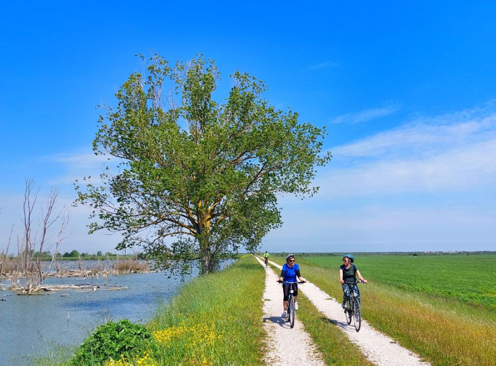 BikeUP