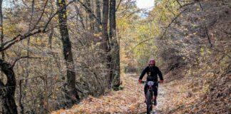 Cicloturistica della Castagna