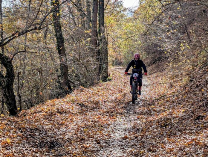 580285608_122173556732467927_8928043430165997374_n Cicloturistica della Castagna