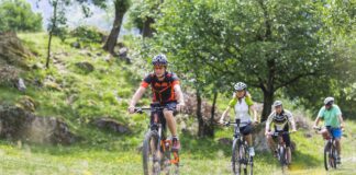 La Vecia Ferovia dela Val de Fiemme