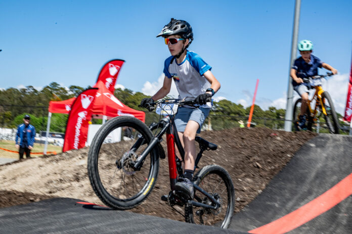 RS1_9851 Sea Otter Australia