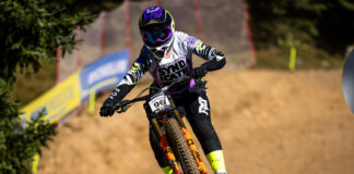 Maxxis Minion DHX